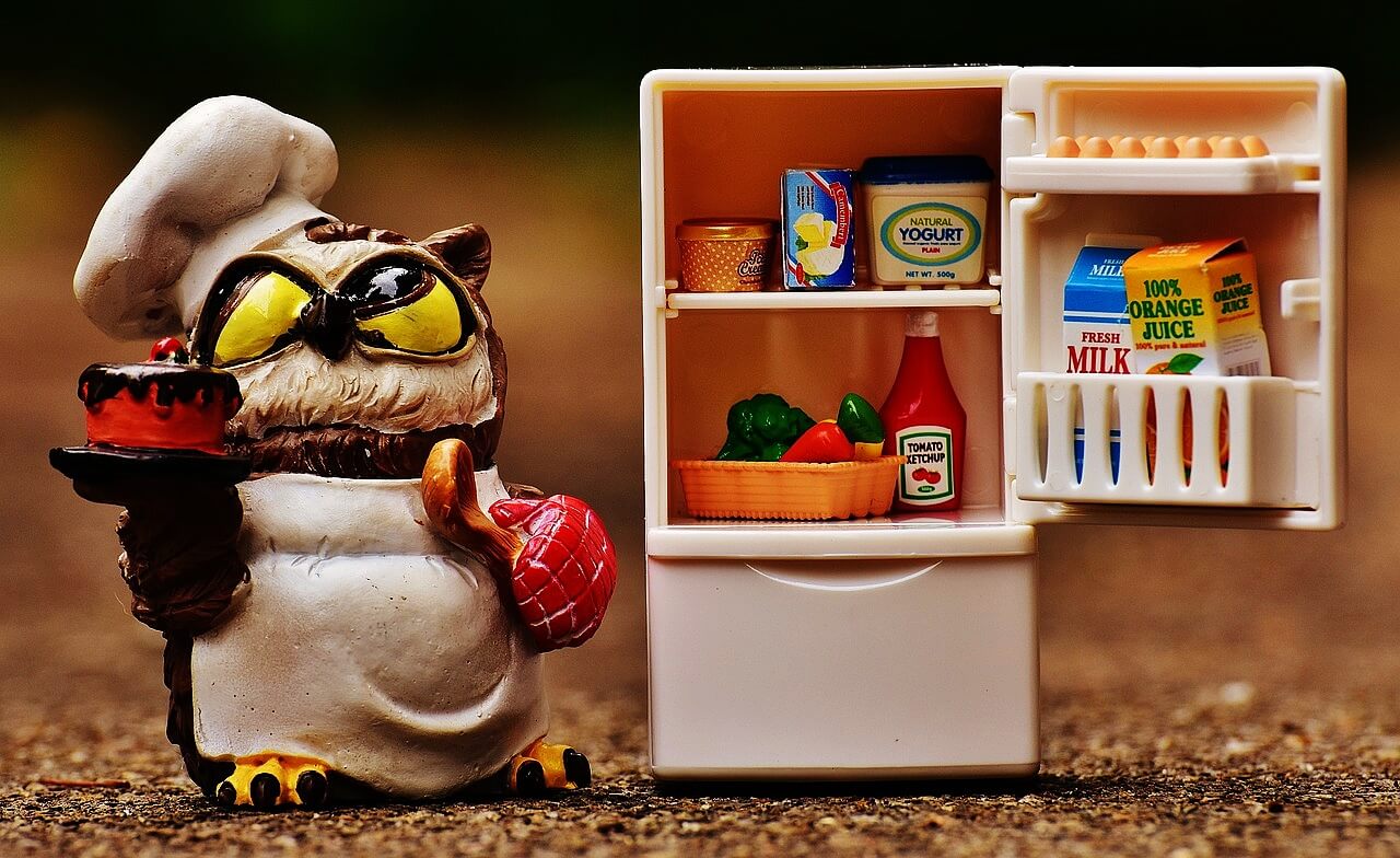 can-a-portable-power-station-run-a-refrigerator