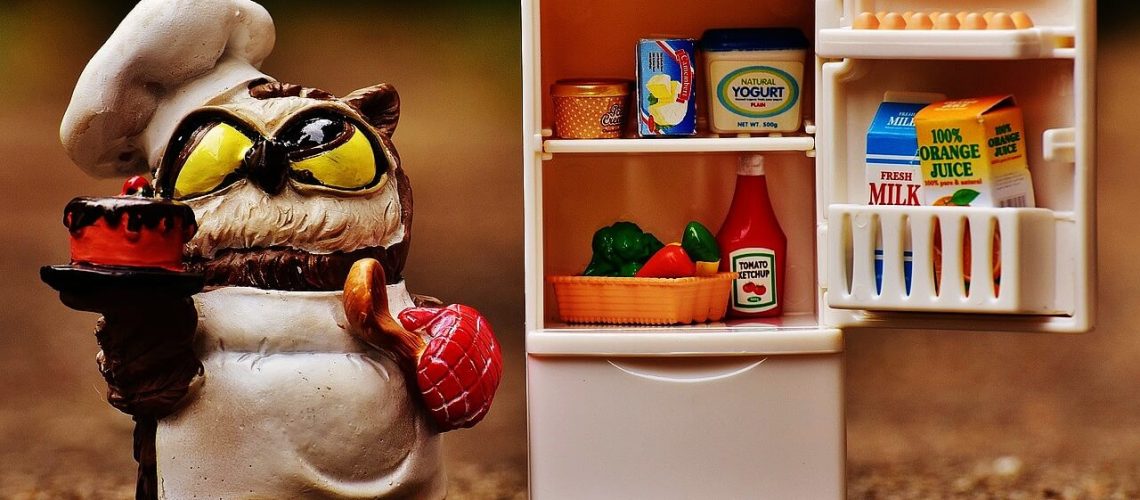 can-a-portable-power-station-run-a-refrigerator
